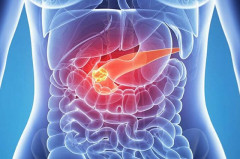 PANCRELEM (Панкрелем)